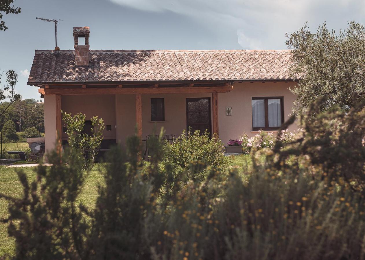 Agriturismo Querceto Mocaiana Exteriör bild